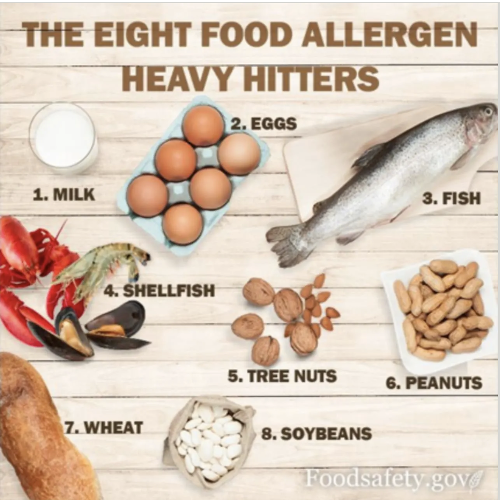 Food Allergies